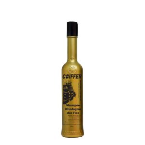 Shampoo Blindagem Blotoxi 300ml
