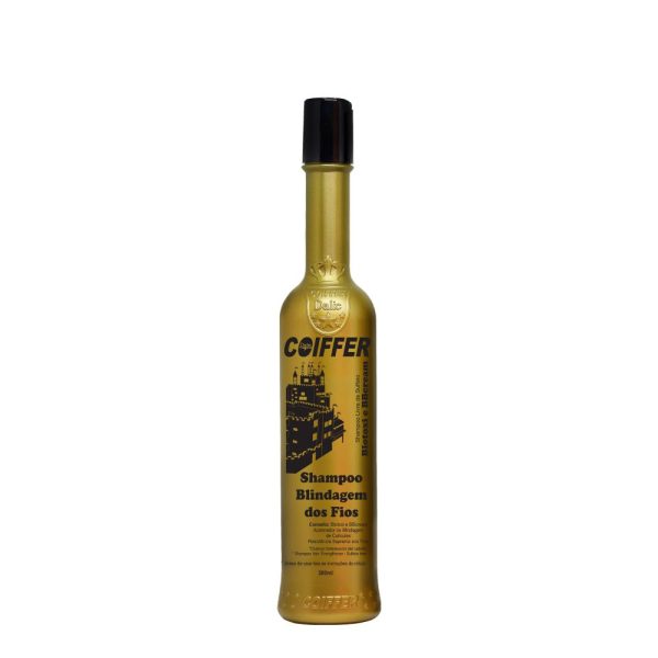 Shampoo Blindagem Blotoxi 300ml